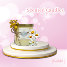 Scented Candles Daisy Jasmine