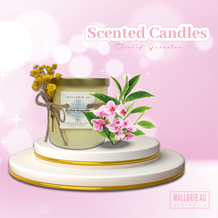 Scented Candles Orchid Greentea
