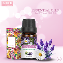 Essential Oils Daisy Lavender