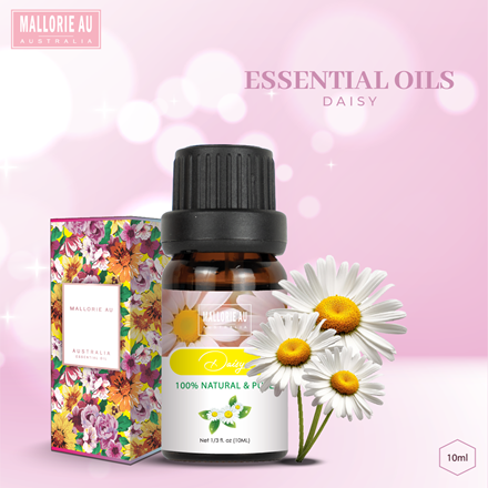 Essential Oils Daisy